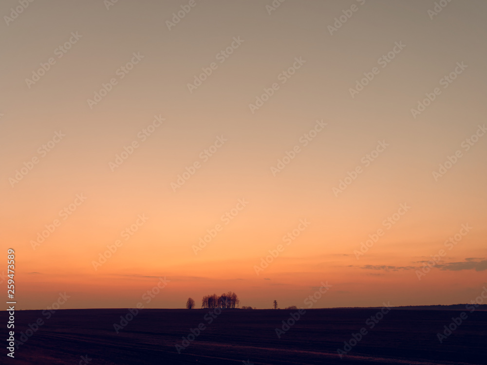 beautiful gradient sky over a field at sunset beautiful gradient sky over a field at sunset