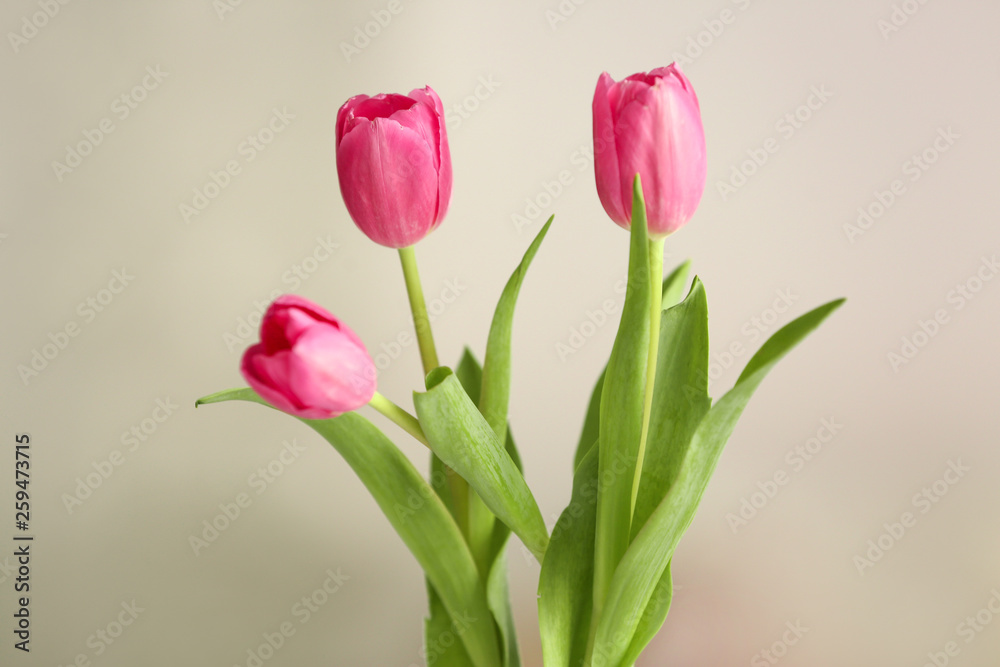 Beautiful tulip flowers on blurred background Beautiful tulip flowers on blurred background