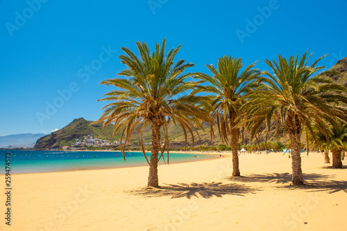 palm trees Playa las Teresitas Beach, Tenerife © Kotangens