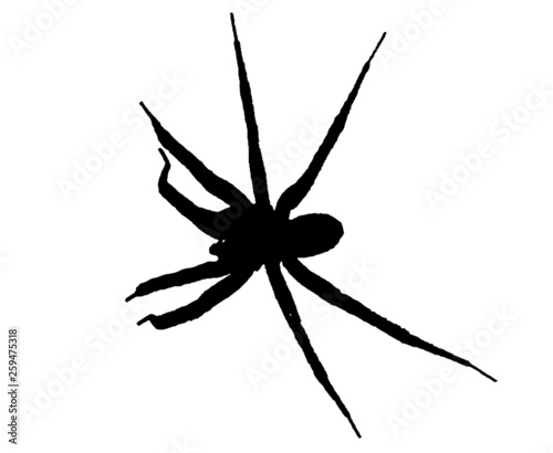 Little spider, vector graphics
