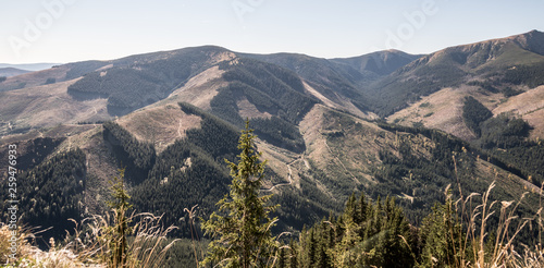 environmental disaster in Narodny park Nizke Tatry in Slovakia - forest devastated by timber harvesting photo