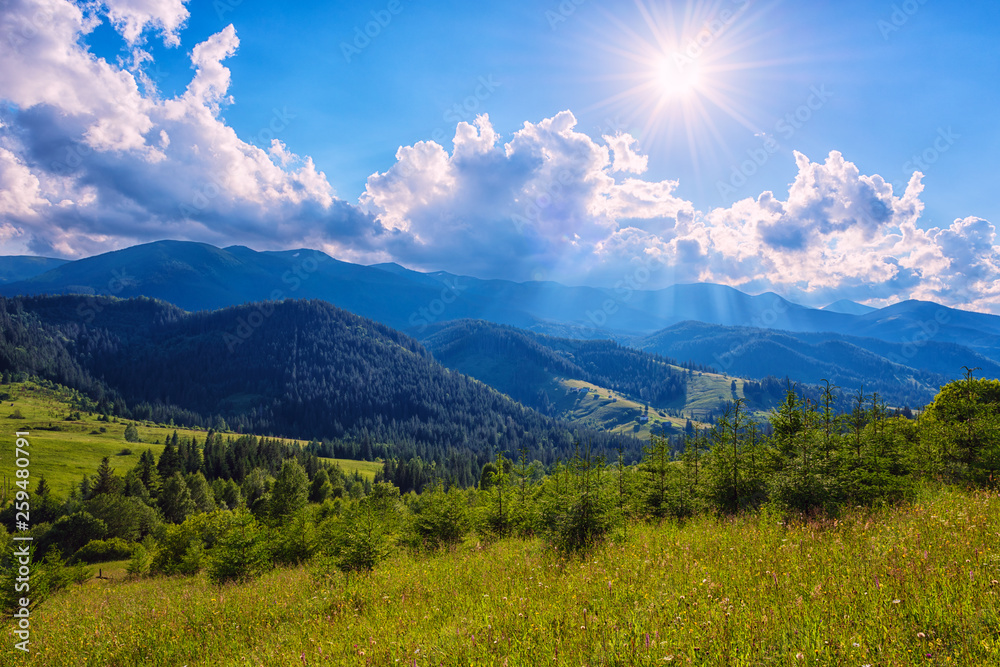 Fototapeta premium Amazing nature, summer daytime landscape. Green mountainside in sunlight and blue sky with clouds and sun beams. Outdoor travel background