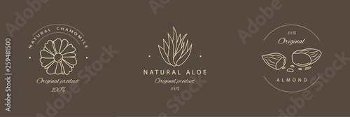 Aloe, chamomile, almond logotypes in line style. Vector 