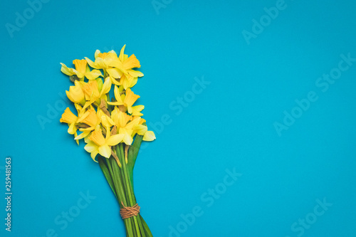 Daffodil flowers background for congratulations on mother's day, women's day. copy space.
