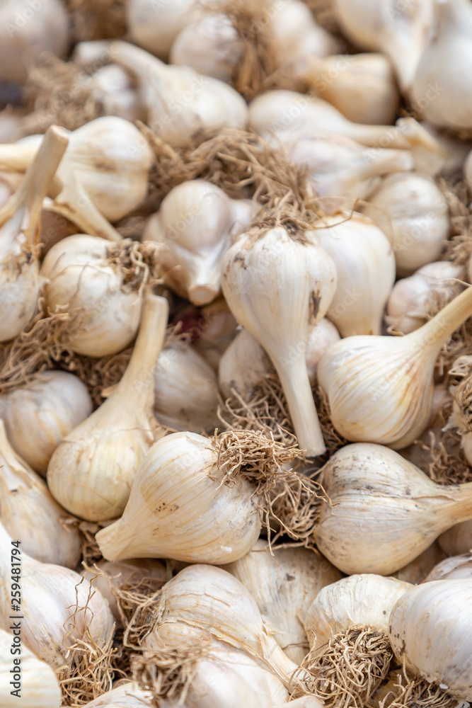 A full frame photograph of garlic bulbs for sale at a farmers market A full frame photograph of garlic bulbs for sale at a farmers market