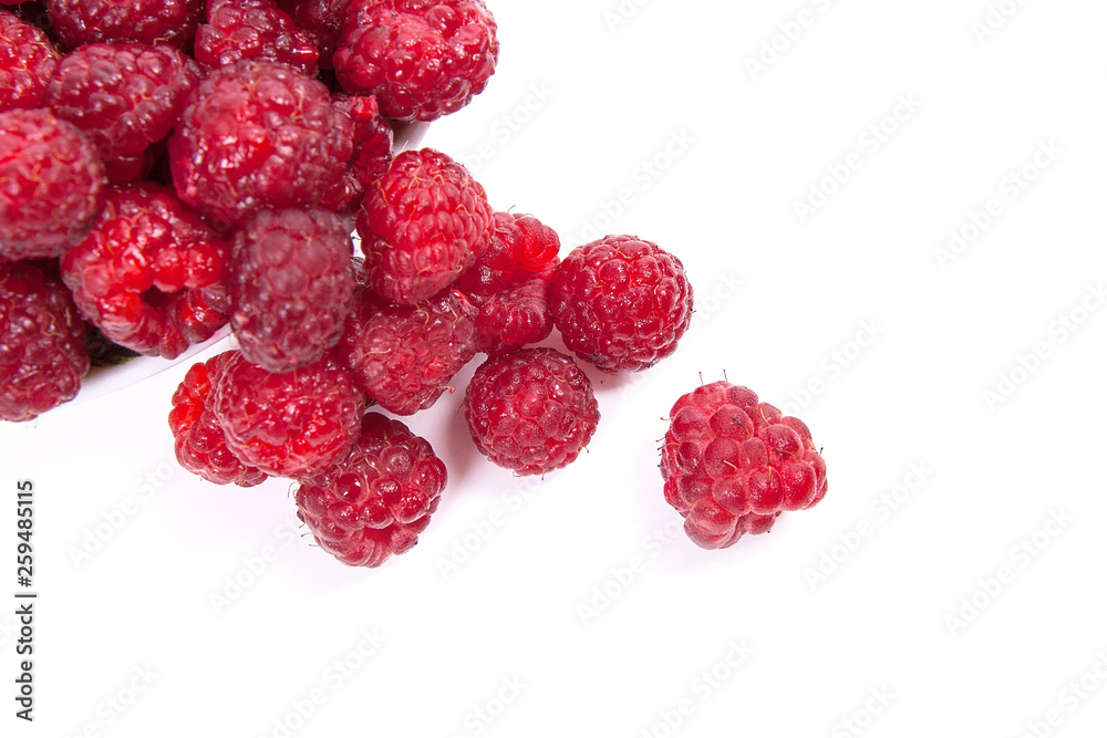 Harvested juicy ripe raspberries fruit on white background.. Harvested juicy ripe raspberries fruit on white background..