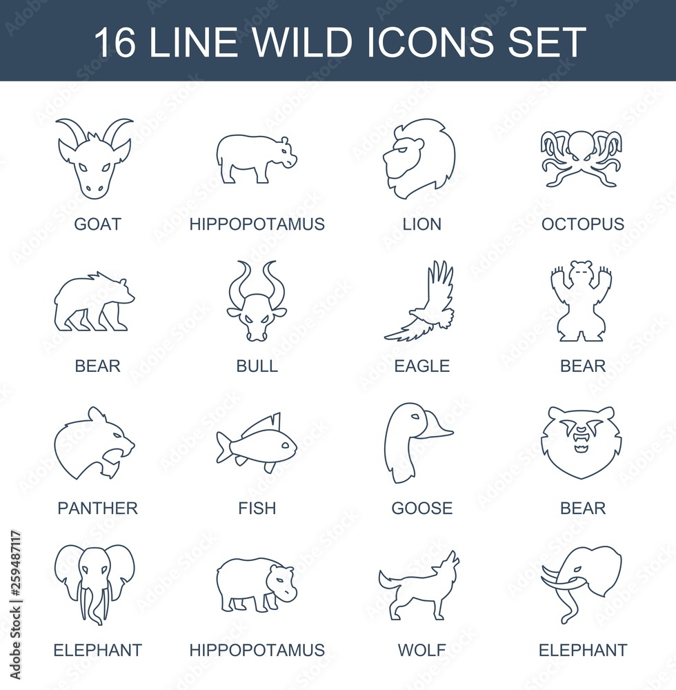 16 wild icons