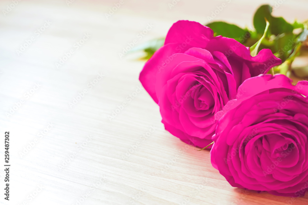 Bright roses on the table　テーブルの上の鮮やかなバラ