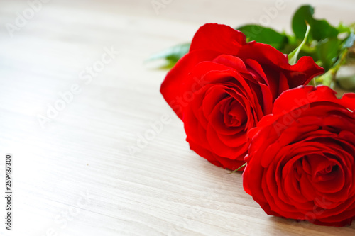 Bright roses on the table テーブルの上の鮮やかなバラ