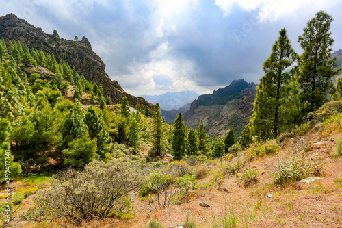 Summer landscape of mountains in Gran Canaria 