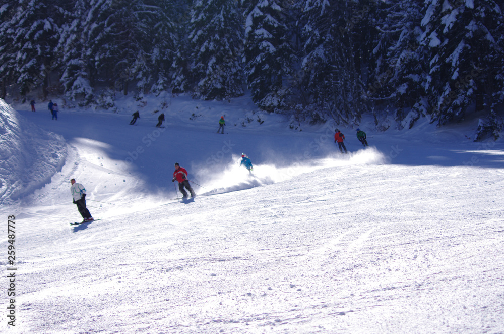 loisirs hiver - ski de piste