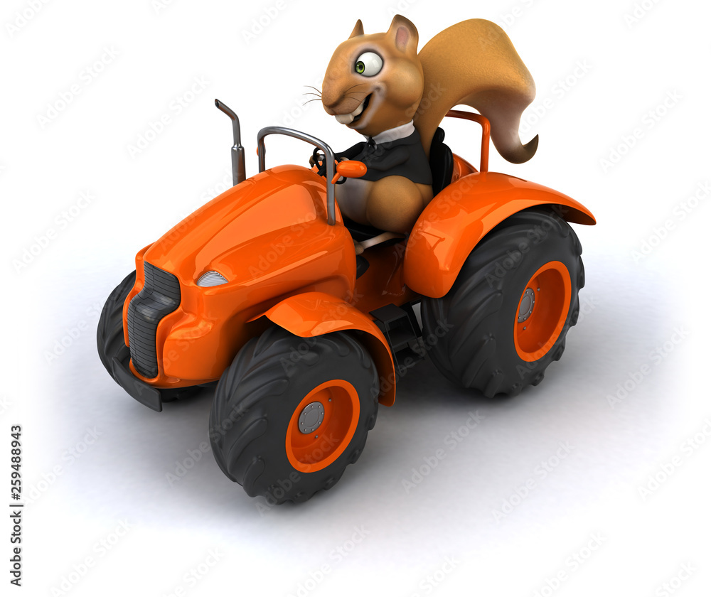 Fun squirrel Fun squirrel