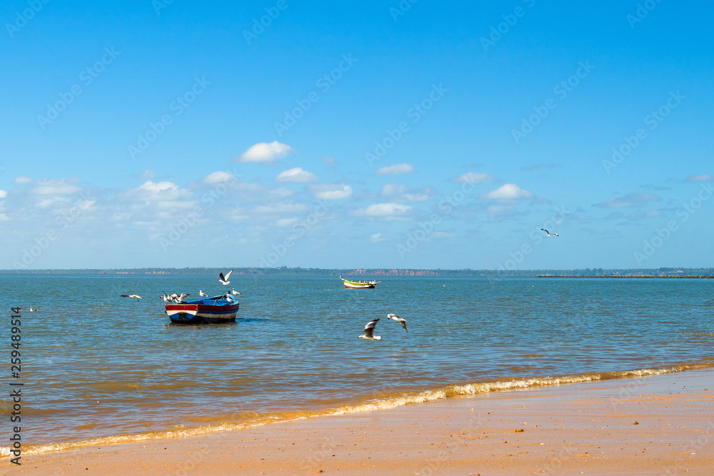 Boats of fishermen on the Indian Ocean in Maputo Mozambique Africa