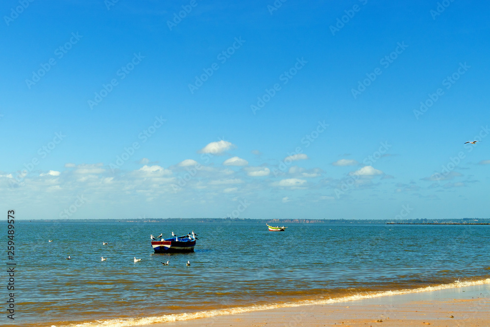 Boats of fishermen on the Indian Ocean in Maputo Mozambique Africa Boats of fishermen on the Indian Ocean in Maputo Mozambique Africa