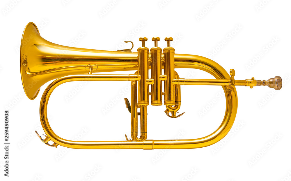 Naklejka premium Flugelhorn isolated on white. trumpet.