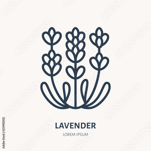 Lavender flower flat line icon. Medicinal plant vector illustration. Thin sign for herbal medicine, essential oil logo