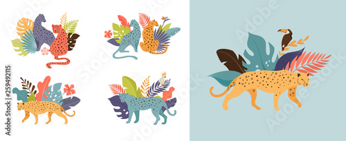 Tropical exotic animals and birds - leopards, tigers, parrots and toucans vector illustration. Wild animals in the jungle, rainforest