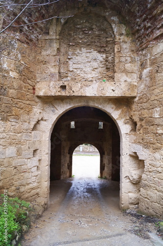 San Francesco gate in the Medici fortress of Poggio Imperiale, Poggibonsi, Tuscany, Italy © sansa55