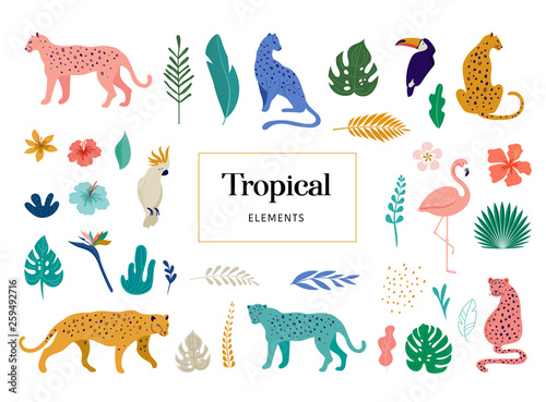 Tropical exotic animals and birds - leopards, tigers, parrots and toucans vector illustration. Wild animals in the jungle