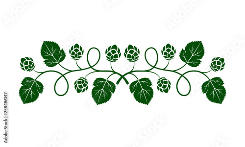 Vector illustration. Green outline (contour) of crossed hop branches with leaves isolated on white background. Decorative design element for beer menu as border for text divider and page decoration.
