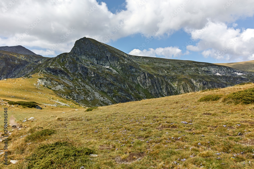 Fototapeta premium Landscape of Green Hills of Rila Mountan near The Seven Rila Lakes, Bulgaria
