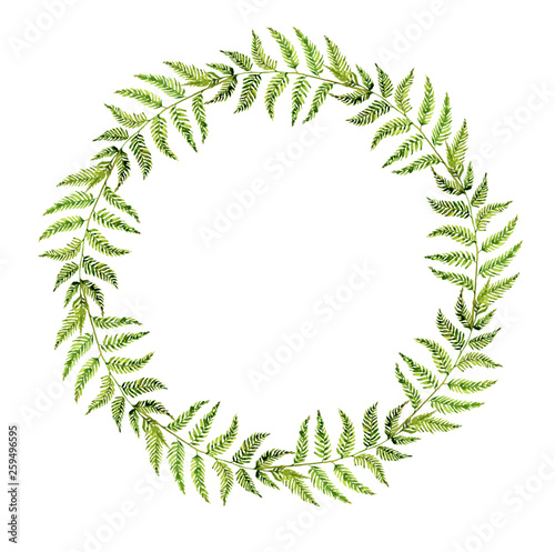 Fern Wreath. Fern leaf painted with watercolor on a white background. Forest herbs. Green forest branches.