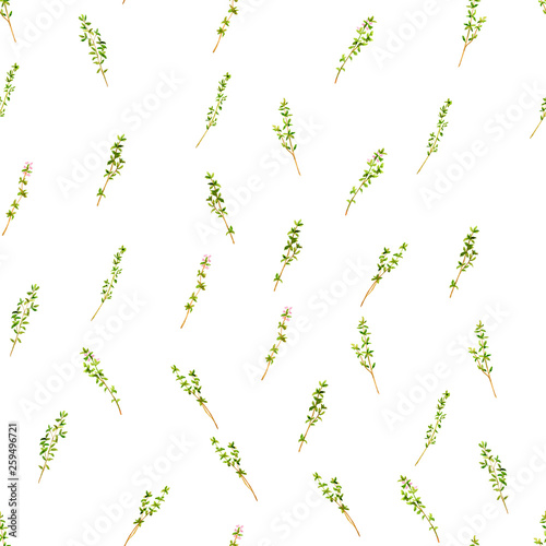 Seamless pattern with thyme branches. Manual graphics, watercolor illustration Forest herbs. Green forest branches.
