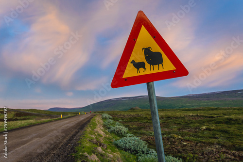 Sheeps sign on road near famous Godafoss waterfall in Iceland photo