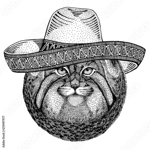 Manul, wild cat wearing traditional mexican hat. Classic headdress, fiesta, party.