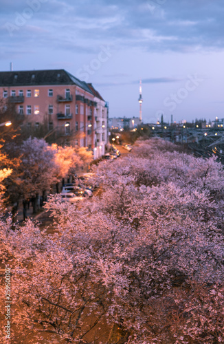 Frühling in Berlin photo