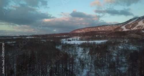 Aerial view of snow covered landscape with trees