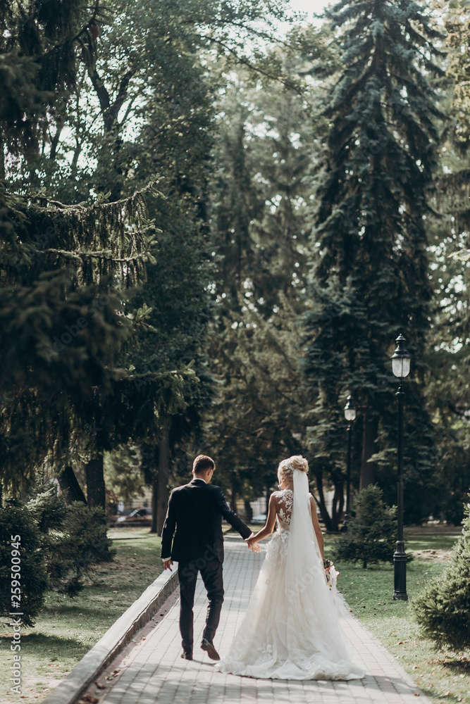 luxury wedding couple holding hands and walking in park among green trees. stylish groom and gorgeous bride in expensive gown. wedding reception. space for text. romantic moment luxury wedding couple holding hands and walking in park among green trees. stylish groom and gorgeous bride in expensive gown. wedding reception. space for text. romantic moment