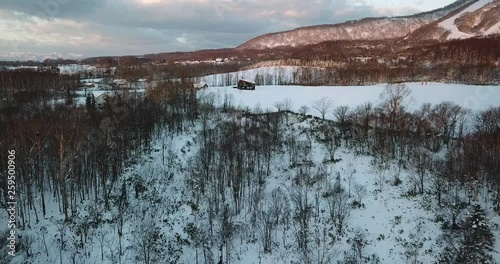 Aerial view of snow covered landscape with trees