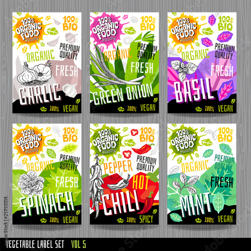 Food label set stickers collection vegetable labels spices package design. Garlic, chili, pepper, basil, spinach, mint, green onion. Organic, fresh, bio, eco. Hand drawn vector illustration.