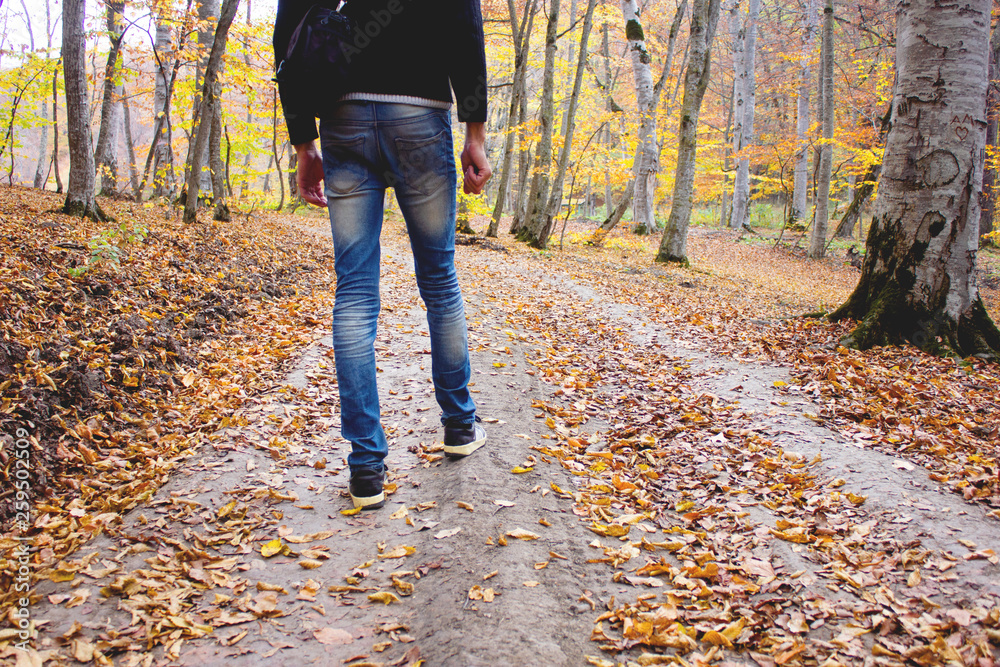 young man walking in the forest young man walking in the forest