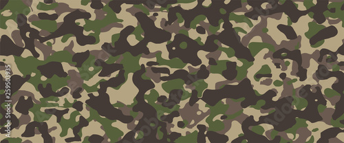 Camouflage background. Seam...