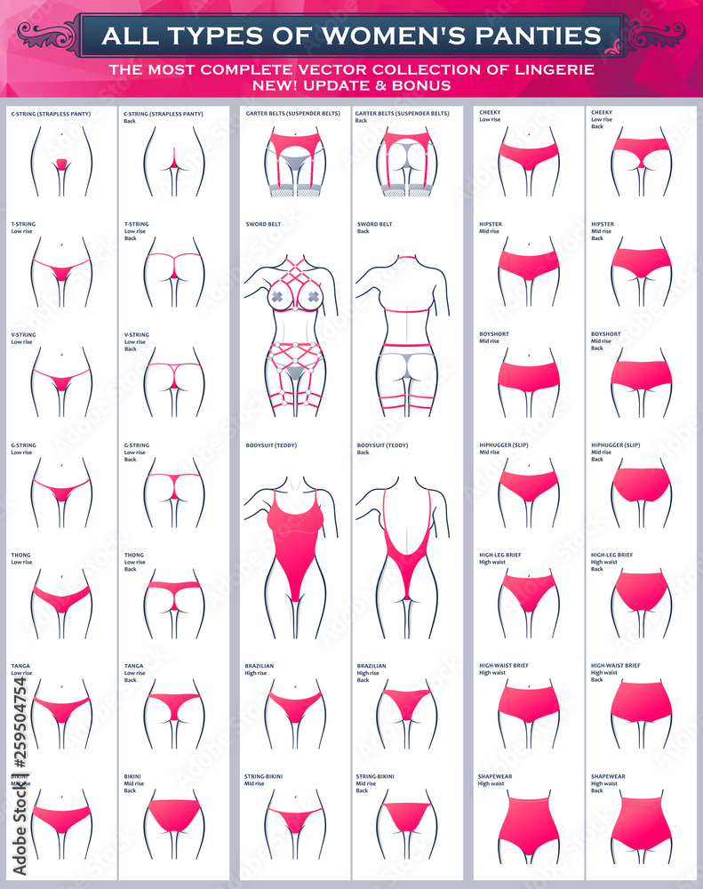 All Types of womens panties. The most complete vector collection of lingerie  Stock Vector