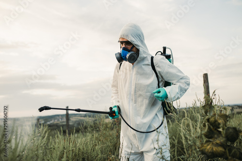 Weed control. Industrial agriculture theme. Man spraying toxic pesticides or insecticides on fruit growing plantation. Natural hard light on sunny day. photo
