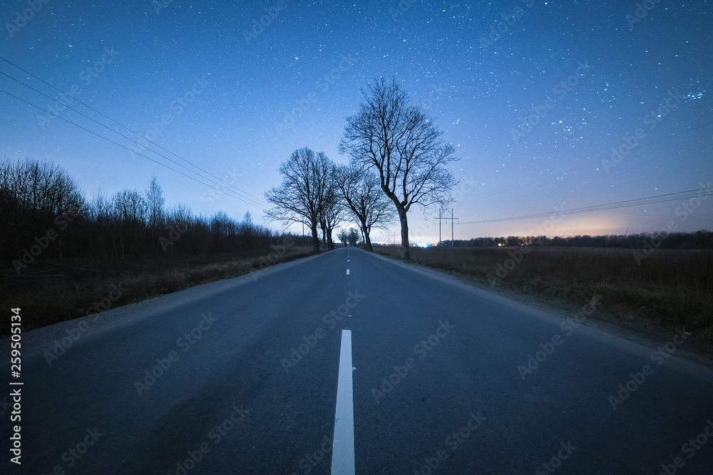 Fototapeta premium Asphalt road with rare bare trees at dark windless starry night