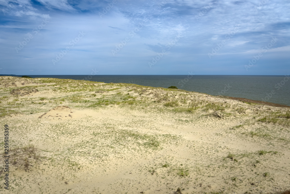 Sandy dunes covered with grass. Curonian Spit, Russia Sandy dunes covered with grass. Curonian Spit, Russia