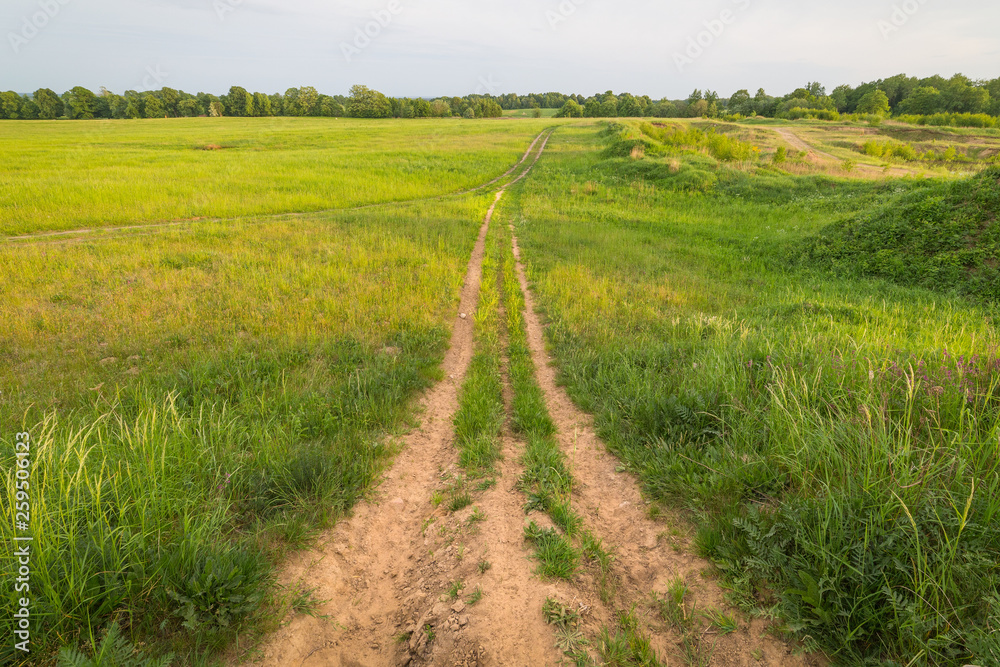 Dirt road runs far away in the green field in the evening