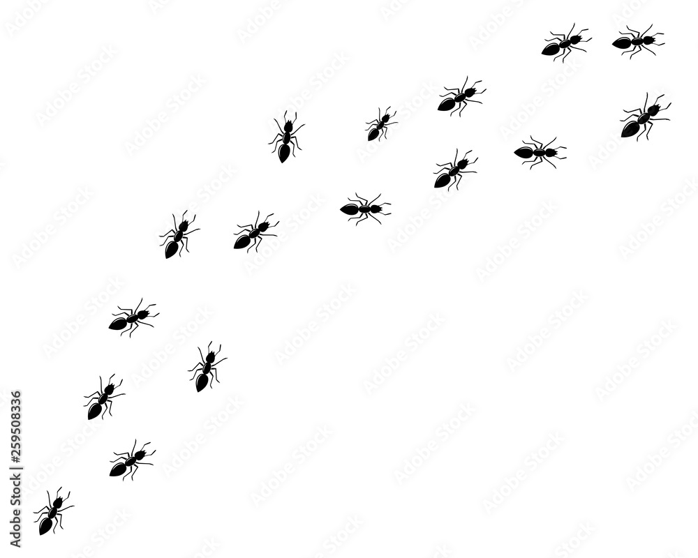Obraz premium Ant Logo template vector illustration