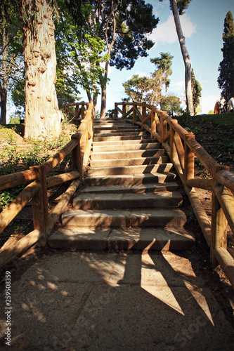 Wooden staircase in the park