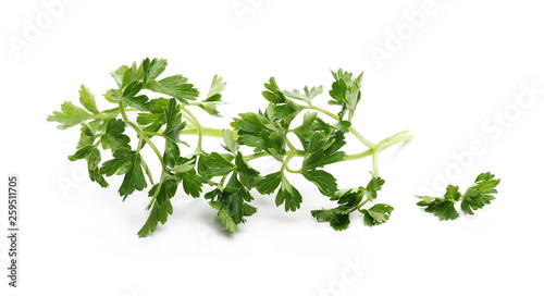 Fresh green parsley leaves isolated on white background 