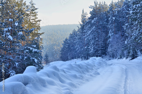 One of the tourist routes to the mountain Big Iremel (southern Urals, Russia).