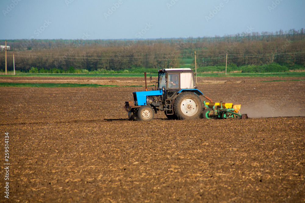 Obraz premium Tractor on the field and makes the fertilizer