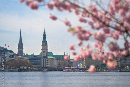 Hamburg Alster Kirschblüte / Cherry Blossom 