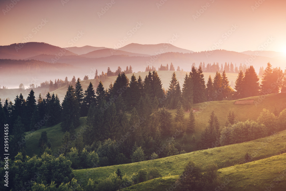 Fototapeta premium Mglista alpejska dolina w słońcu. Lokalizacja Karpacki park narodowy, Ukraina, Europa.