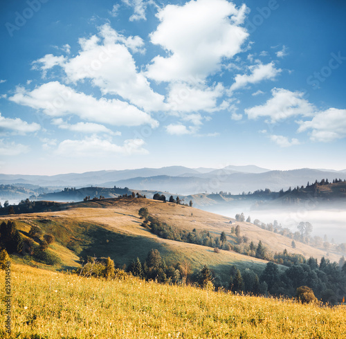 Quadro em tela Awesome alpine highlands in sunny day