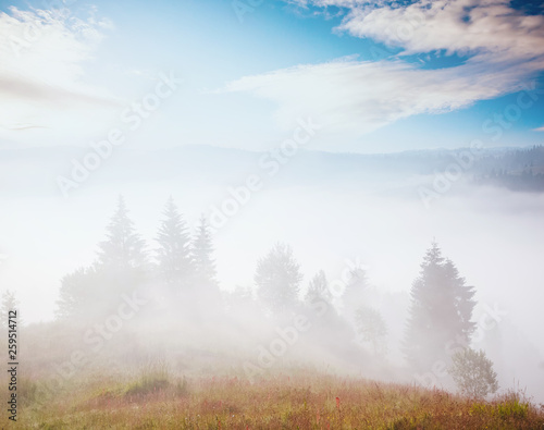 Scenic image of the wilderness area. Location Carpathian national park, Ukraine, Europe.